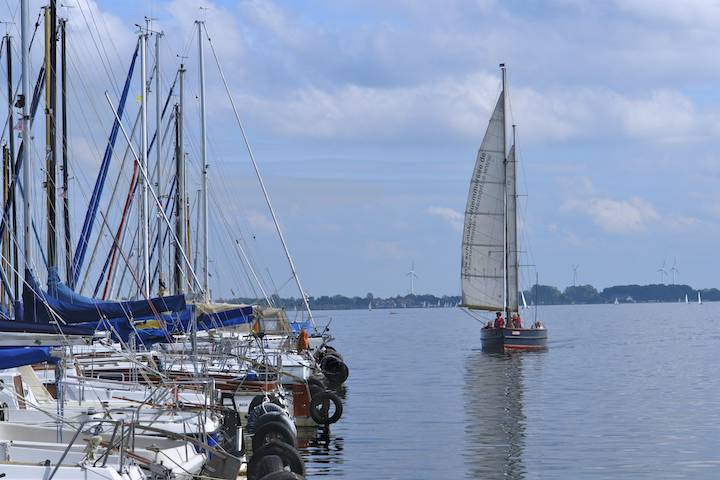 Dümmersee