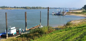 Rhein