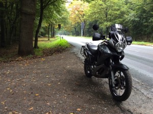 Reichswald