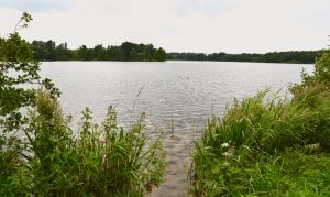 Torfmoorsee