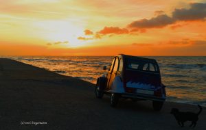 De Panne