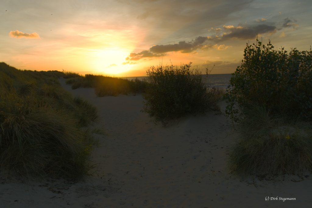 De Panne