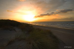 De Panne