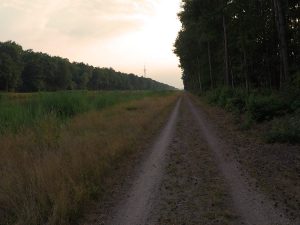 Emsland