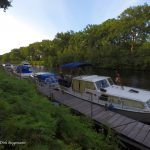 Emsland Honda Transalp