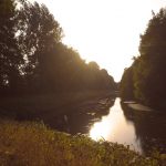 Emsland Honda Transalp