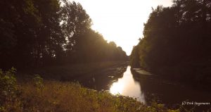 Emsland Honda Transalp