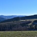 Sauerland