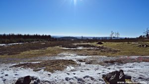 Sauerland