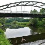 Lingen