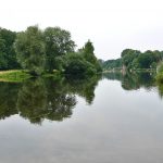 Lingen