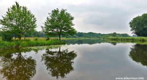 Lingen