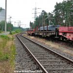 Lingen