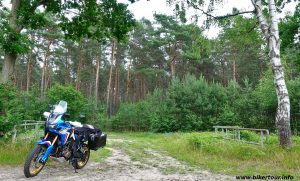 Lingen