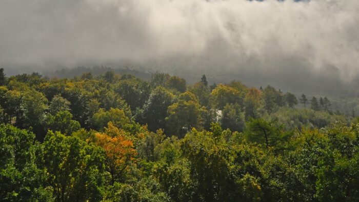 Motorrad-Herbst